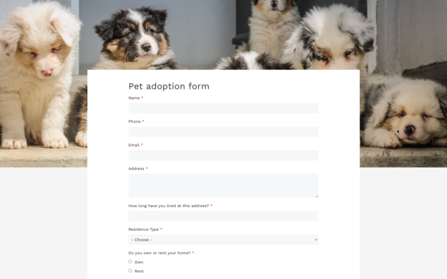 Pet adoption form for Google Forms