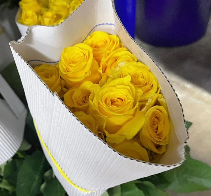 Yellow rose