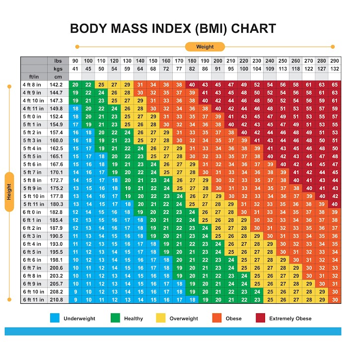 What is Your BMI (Body Mass Index Chart Can Be Used)