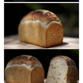 Motherstarter Sourdough Sandwich loaf