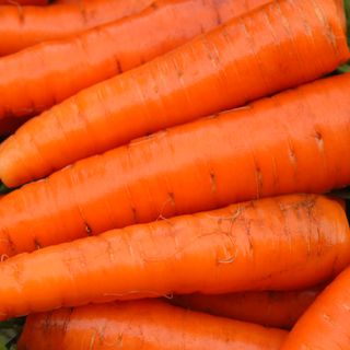 Carrots