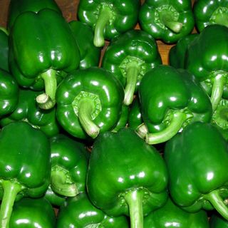 Sweet Peppers