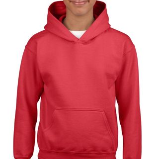 Red Hoodie with 543 Logo