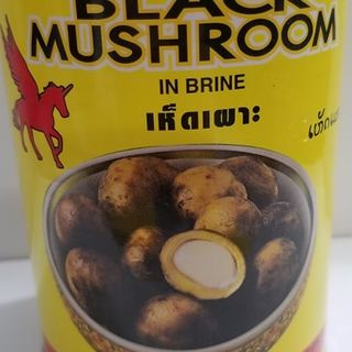 အင်ဥ(Black Mushroom) 