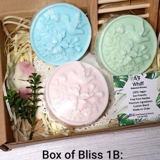 Christmas Box of Bliss 1B