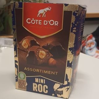 Côte d'Or Mini Roc Assortiment Grand Format