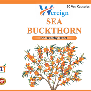 Sea BuckThorn Extract  ( 600 BV )