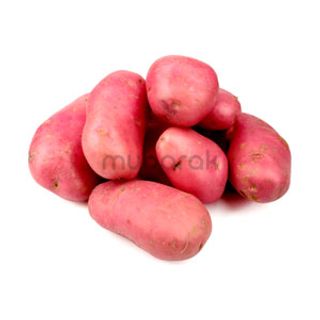 Potato Red 