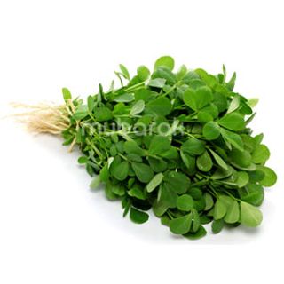 Methi Leaves 1Pc