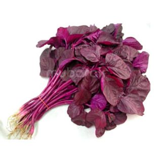 Red Spinach (Red Cheera) 1Pc