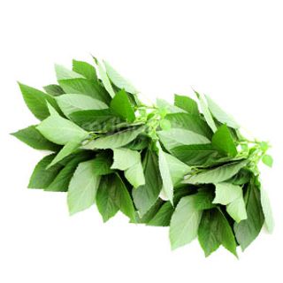 Molokhia Leaves 1Pc