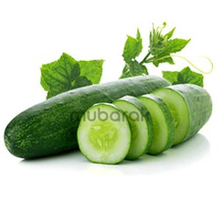 Cucumber 