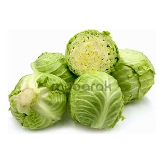 Cabbage 