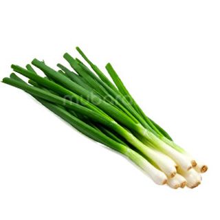 Spring Onion 1Pc