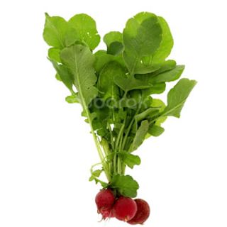 Red Radish 1Pc