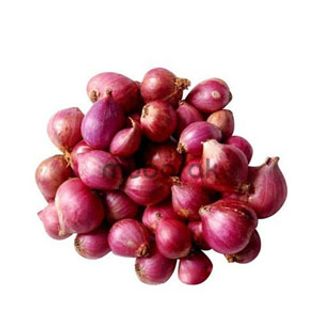 Small Onion / Shallot