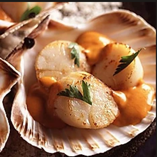 Stewed Scallops