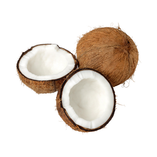 नारळ (Coconut)