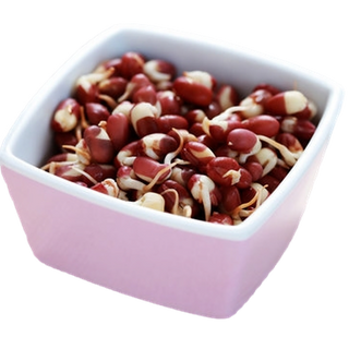 राजमा (Kidney beans)