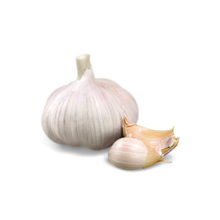 लसूण (Garlic)