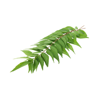 काडी पत्ता (Curry leaves)