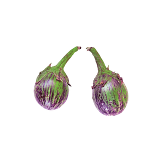 वांगी (Brinjal)