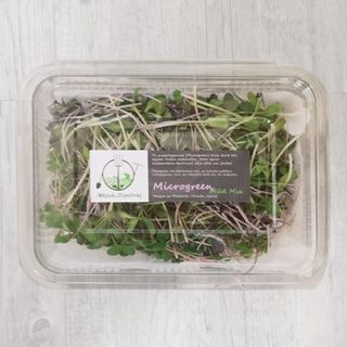 Microgreen Mix 