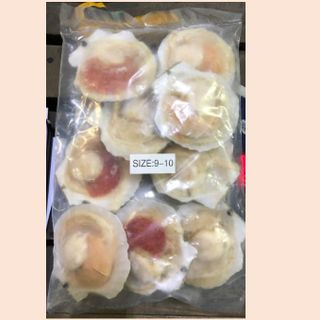 Half Shell Scollops 1kg