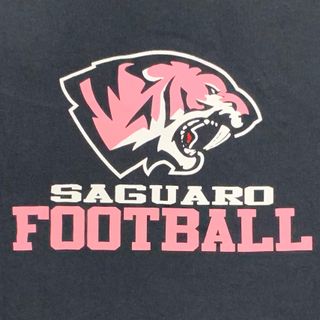 Pink Cathead Saguaro Football (breast cancer awareness)