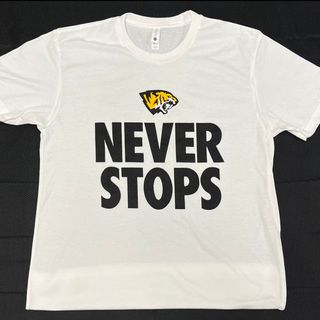 Saguaro Never Stops T-Shirt (white)