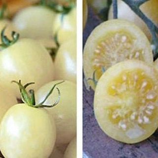 White Cherry tomatoes 