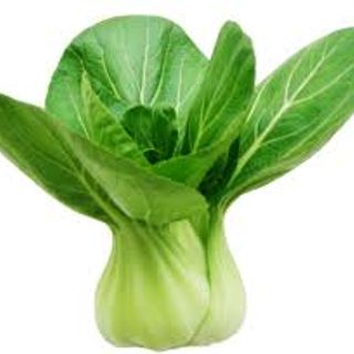 小棠菜 Shanghai Pak Choi $16/斤