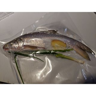 冰鮮馬友魚 