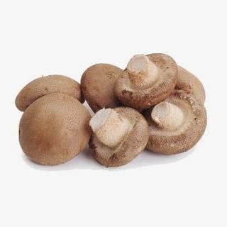 鮮冬菇 Fresh Mushroom $40/磅