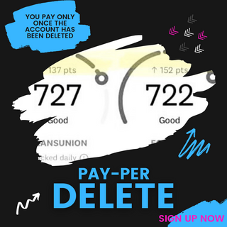 Pay Per Delete Program