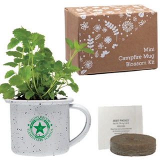 Mug with Seed Kit