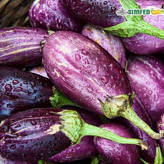 Brinjal