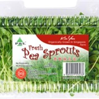 Fresh Pea Sprout 225g