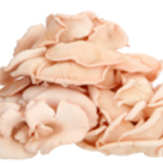 Fresh Pink Oyster Mushroom (150g)