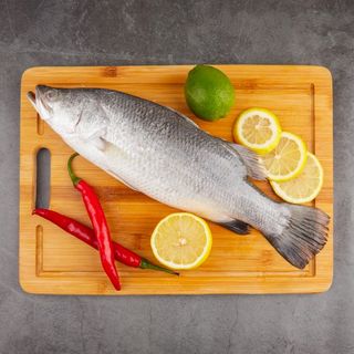 Seabass/Barramundi (500g)