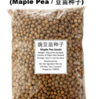 Pea Sprout Seeds (1kg)