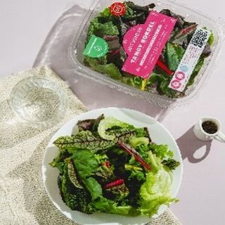 Just Salad: Tangy Sorrel (100g)