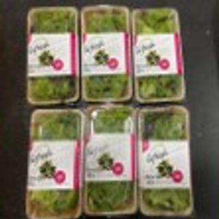 Mesclun Mix (100g)