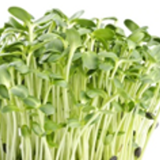 Sunflower Sprouts (200g x 2)