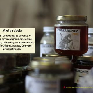 Miel de Abeja 