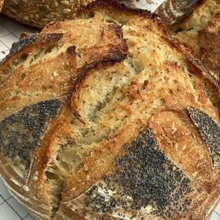 Beer, honey and poppyseed sourdough (1000g)