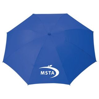  46" Auto Open and Close Folding Inversion Umbrella