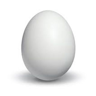 Egg