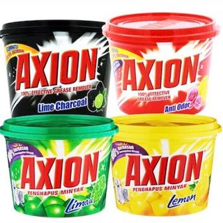 Axion