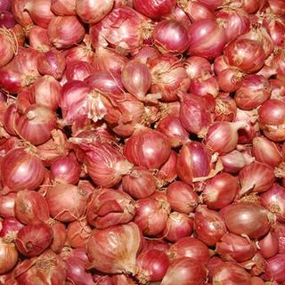 Small onion 500gm